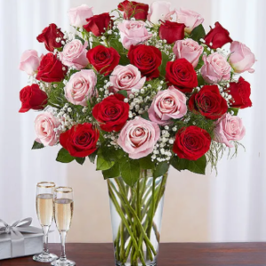 Long Stem Pink & Red Roses
