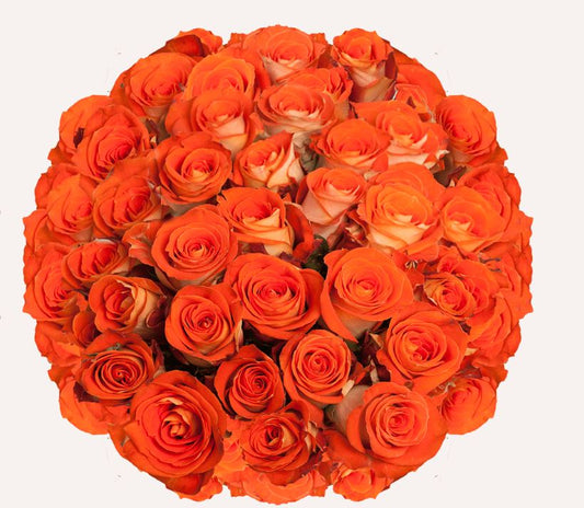 Orange Roses Stems (12, 18, 24, 50, 75, 100, 150) With Glass Vase